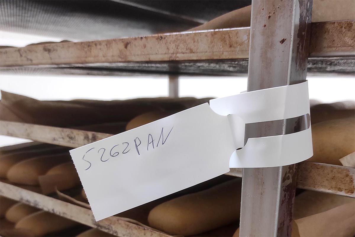 Etiquette à boucle PEHD 150μm - Longueur boucle 115mm - Ø 36mm - Surface utile 95x140mm