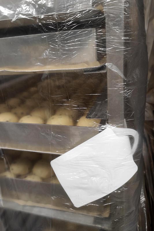 Etiquette à boucle 25x220mm Tyvek - Longueur boucle 75mm - Ø 24mm - Surface utile 25x105mm