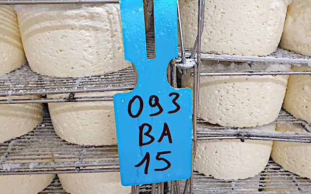 Équipement de Laiterie Fromagerie